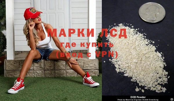 стаф Киренск