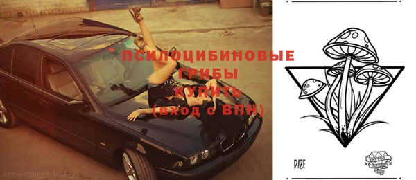 стаф Киренск