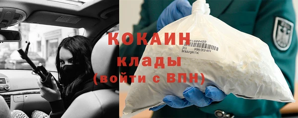сатива Кинешма