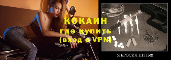 сатива Кинешма