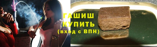 сатива Кинешма