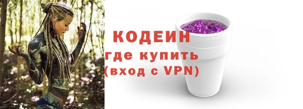 сатива Кинешма