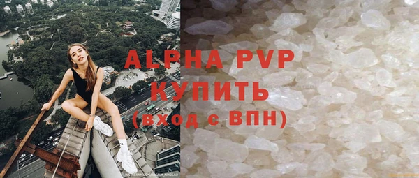 сатива Кинешма