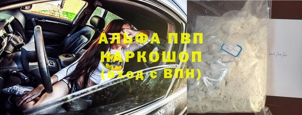 сатива Кинешма