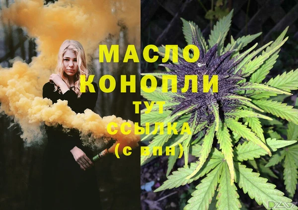 сатива Кинешма