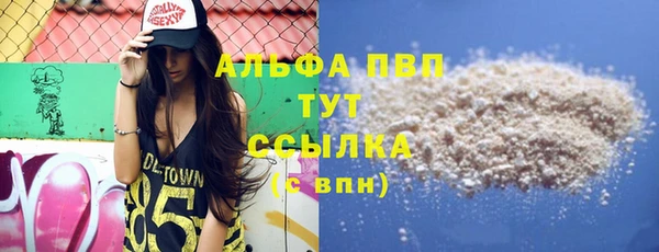 стаф Киренск