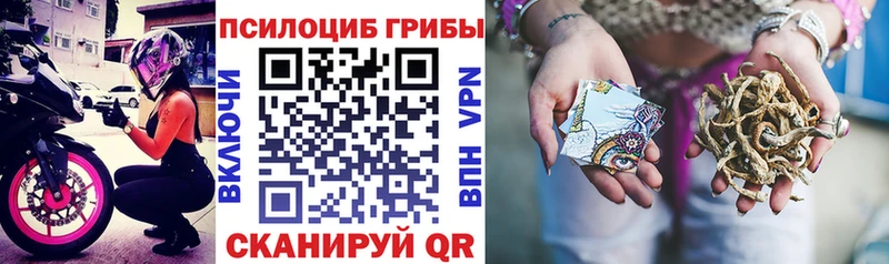 Галлюциногенные грибы GOLDEN TEACHER  Купить где  Кингисепп 